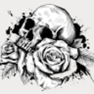 Meet your Posher, Isabella